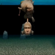 Image for article titled My Strange Conversations With Seaman